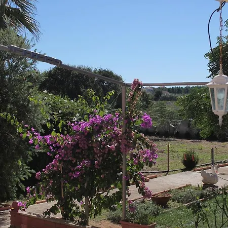 Appartement For Families With Children Privlaka, Zadar - 5747 *