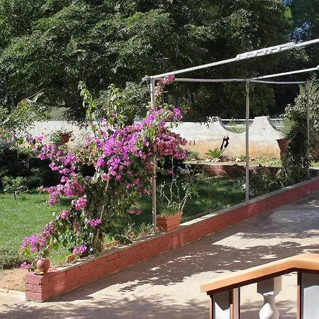 Apartments For Families With Children Privlaka, Zadar - 5747 Apartment